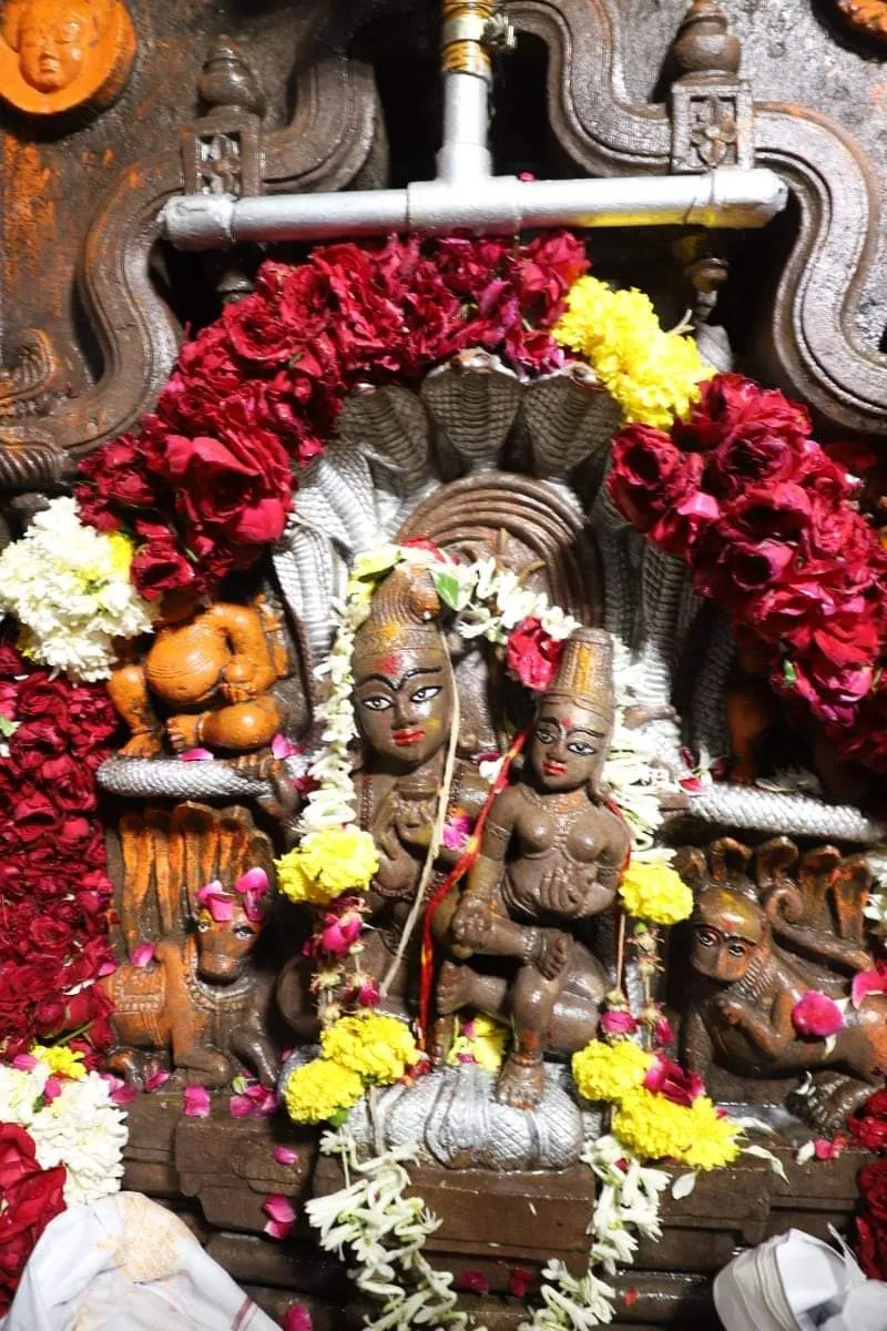 Nag Panchami 2023: साल में एक बार खुलता है यह मंदिर, यहां शेषनाग के फन पर पूरे परिवार के साथ विराजते हैं भगवान शिव