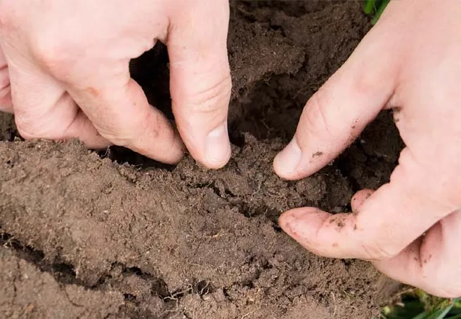 खुद को ‎निखारने में Garden की धूल-‎मिट्टी का उपयोग करती है लड़की