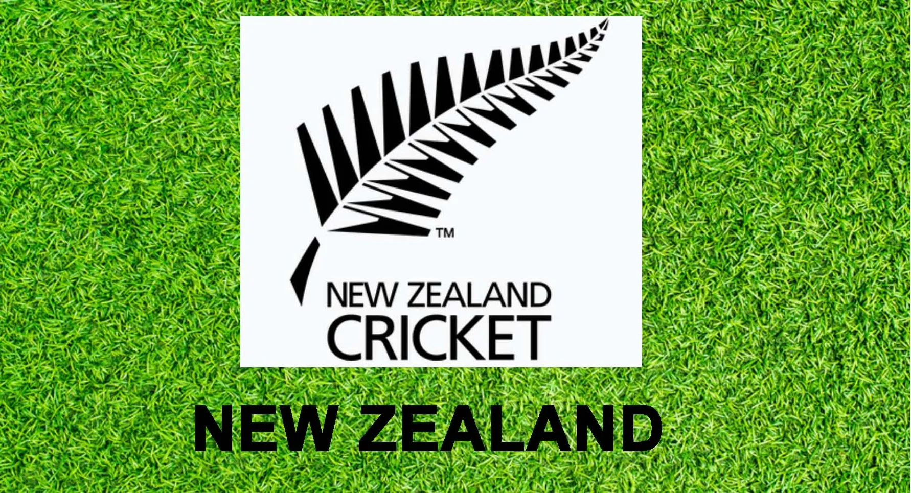 न्यूजीलैंड ने एकदिवसीय विश्व कप के लिए घोषित की टीम , विलियमसन की वापसी