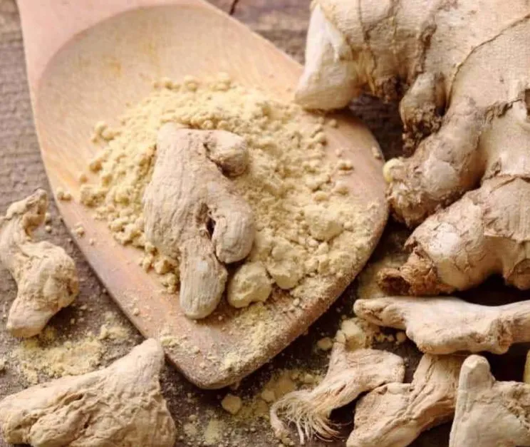 अदरक, लहसुन सहित ये पांच वनस्पतियों से Blood Pressure पर करें नियंत्रण