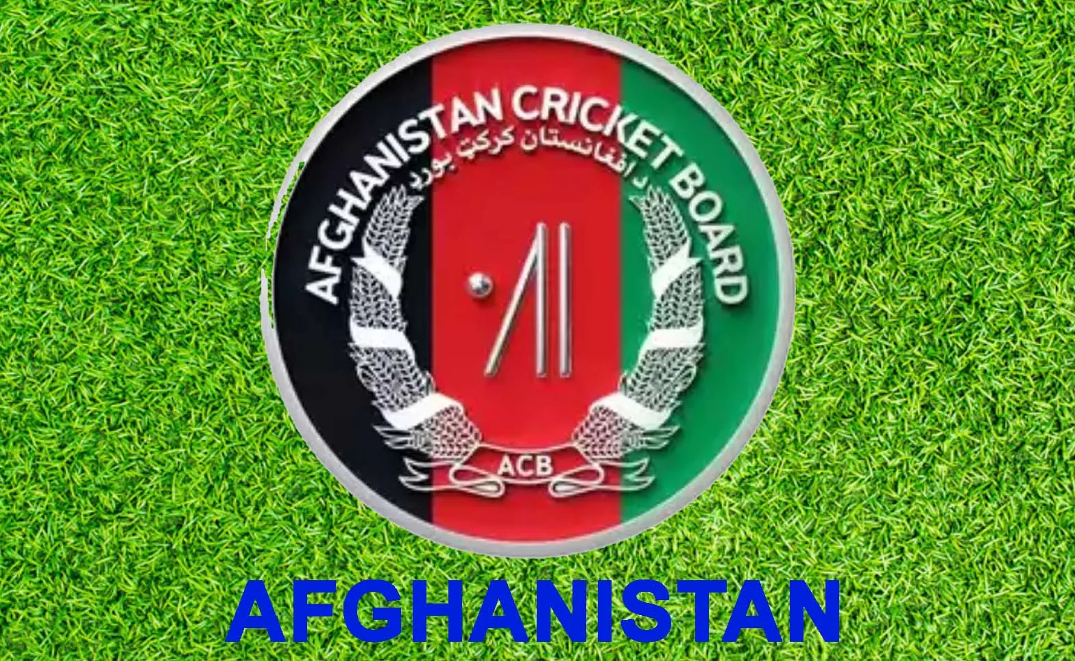 Afghanistan ने एकदिवसीय विश्वकप के लिए घोषित की टीम, नवीन-उल-हक की वापसी