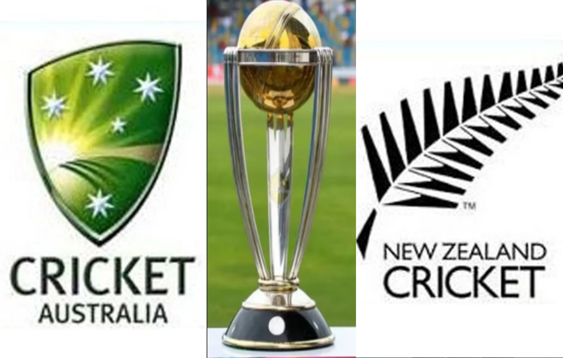 वर्ल्ड कप से पहले ही Australia and New Zealand के स्टार खिलाड़ी हुए चोटिल