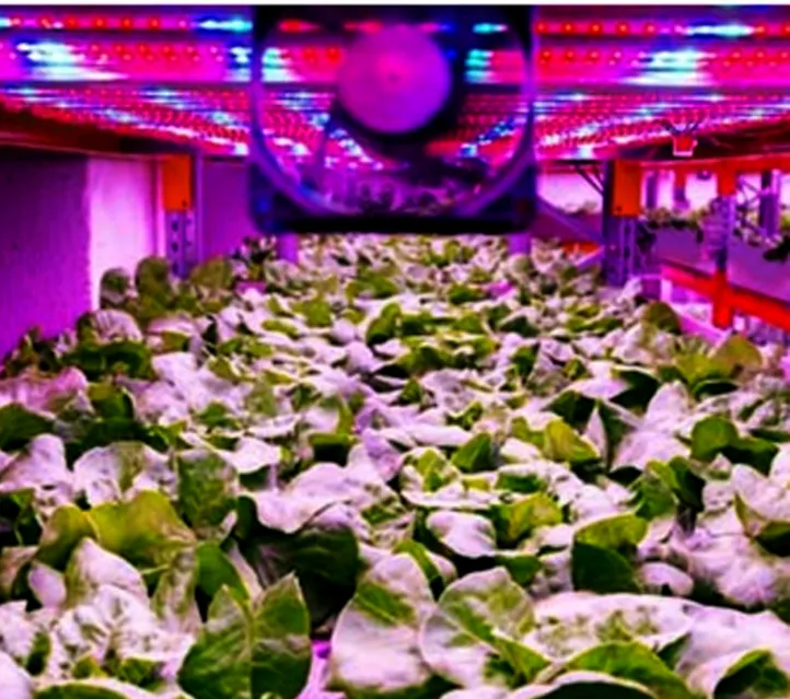 Scientists ने विद्युत बागवानी की दिशा में किए कई प्रयोग