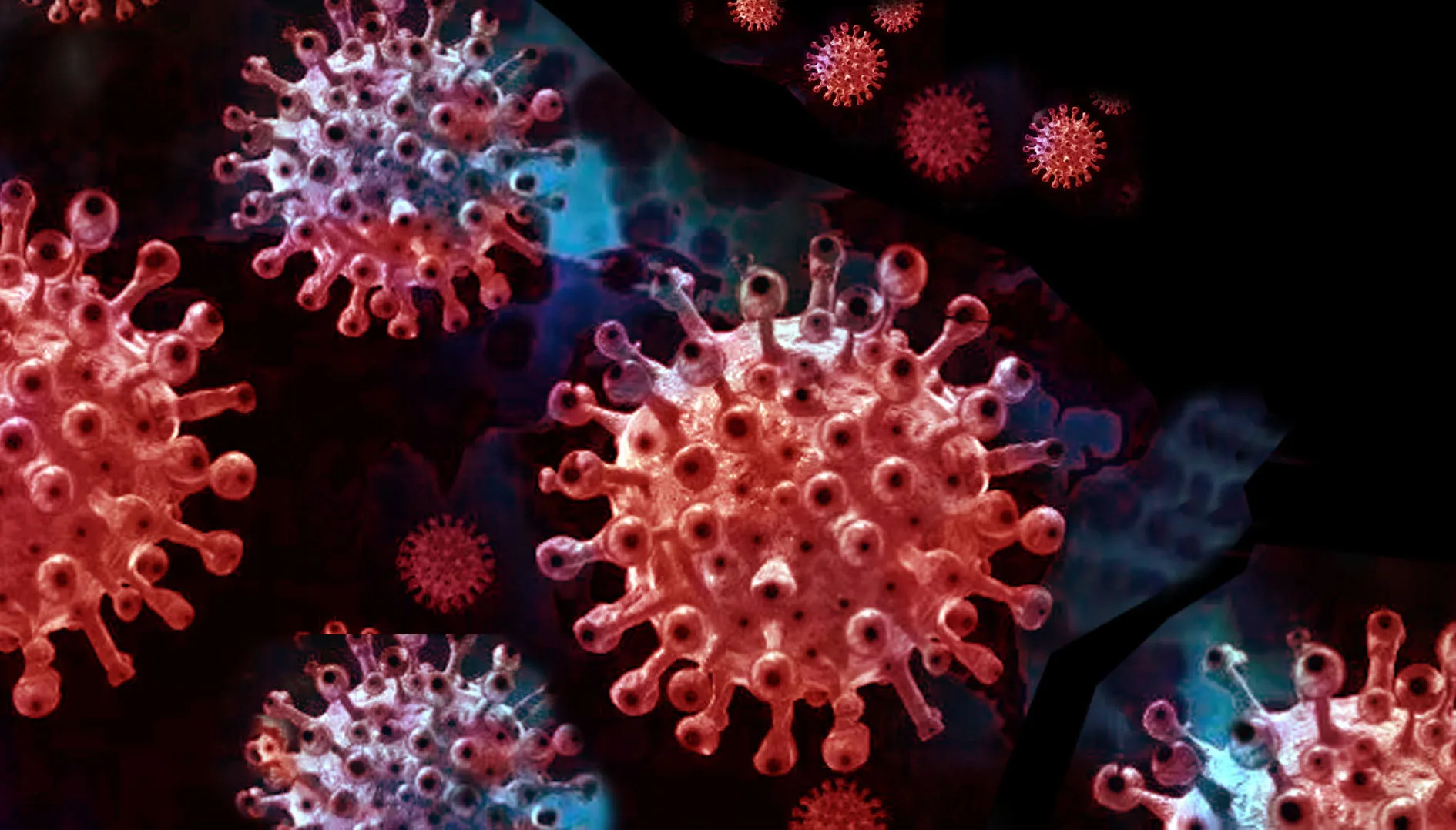 New disease X ने दी दस्तक, डब्ल्यूएचओ ने जारी किया अलर्ट