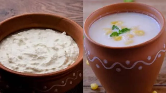 अगर आप रोज के खाने में दही खाते हैं तो ये गलतियां करने से बचें