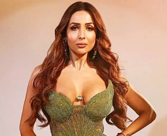 Chaiya Chaiya के लिए ट्रेन पर डांस करना चुनौतीपूर्ण: Malaika