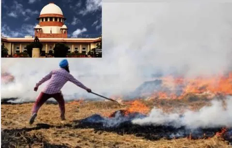 'पराली जलाने वाले किसानों से अनाज न खरीदे सरकार' :सुप्रीम कोर्ट