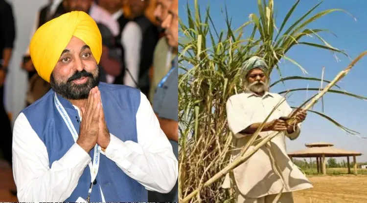पंजाब सरकार ने गन्ने की कीमत 11 रुपये प्रति क्विंटल बढ़ाई