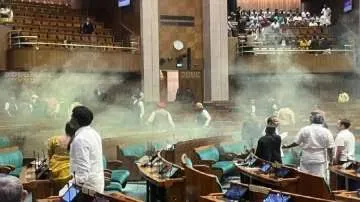 Parliament Attack : धुएं के केन को छिपाने के लिए तैयार करवाए खास जूते, संसद सुरक्षा चूक मामले में खुलासा