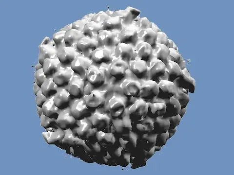 शरीर में नए तरीके का घुस सकता है Virus -अब तक घुसता था सिर्फ घोड़ों के अंदर