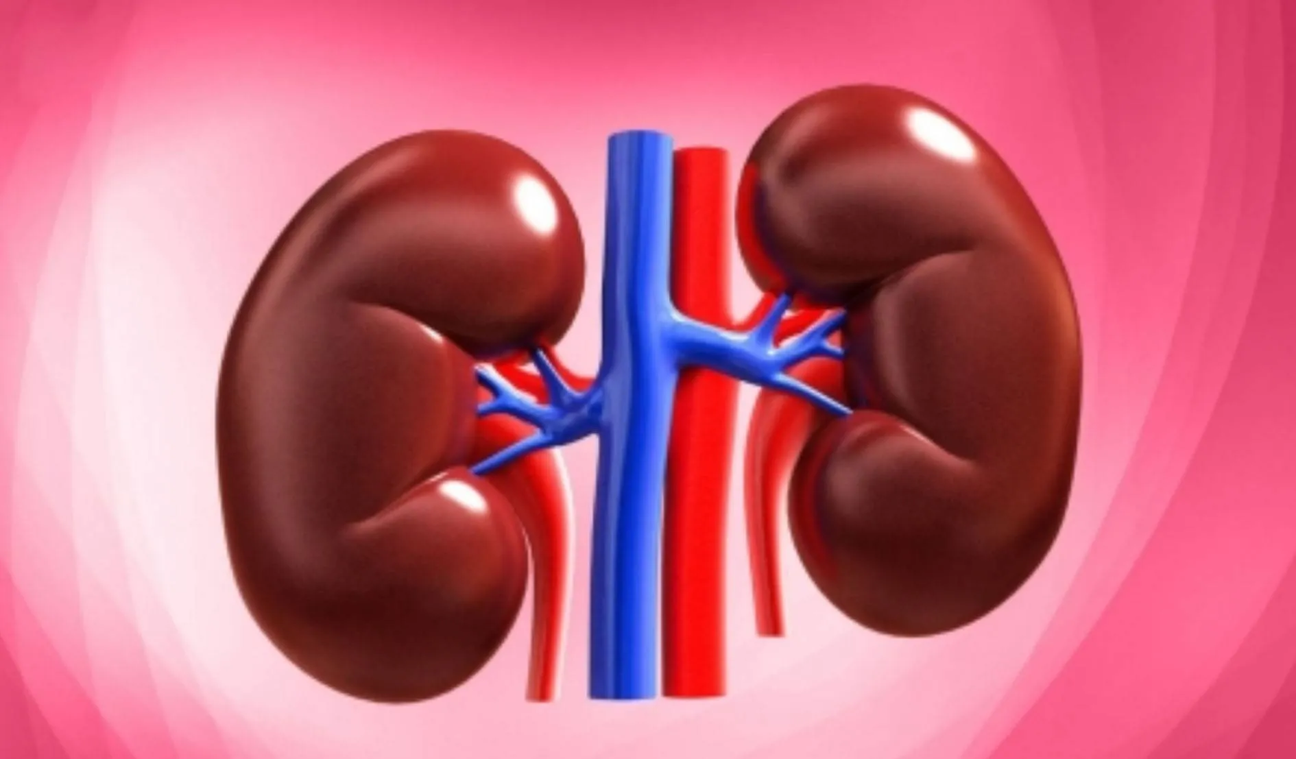 बीवी की जान बचाने प‎ति ने दी थी kidney, तलाक होते ही वापस मांगी