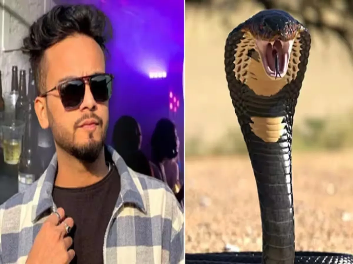 Elvish के मोबाइल से डेटा डिलीट किया, कोबरा कांड में हुआ बड़ा खुलासा