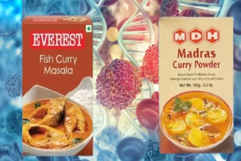 एमडीएच और एवरेस्ट को लेकर जांच में जुटा America