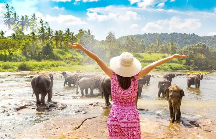 भारतीय पर्यटकों के मालदीव के बायकॉट से Sri Lanka हुआ मालामाल