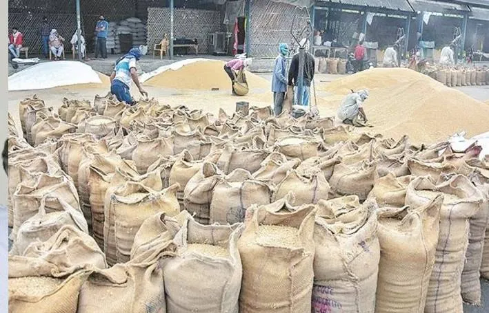 धान का Minimum समर्थन मूल्य 117 रुपए प्रति क्विंटल बढ़ा