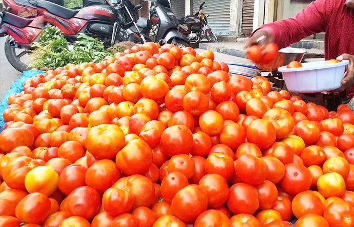 टमाटर की बढ़ती कीमत पर  Government Alert, जल्द ‎मिलेगी राहत