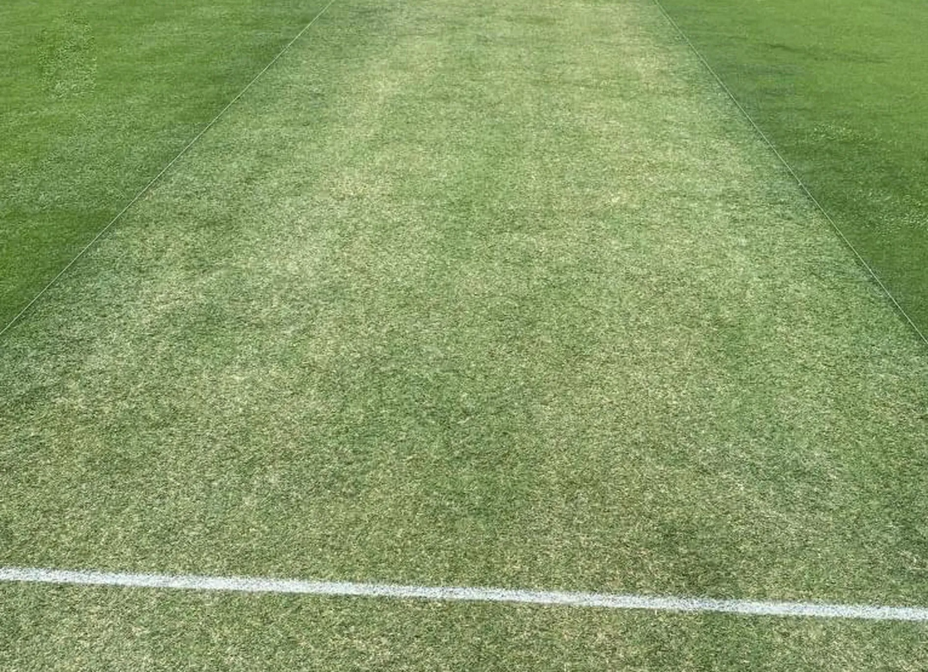 Australia ने भारत के लिए उछाल भरी पिचें बनायीं