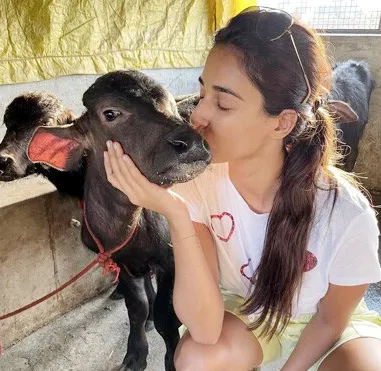 Disha Patani  ने दर्शाया पशुओं से गहरा भावनात्मक जुड़ाव