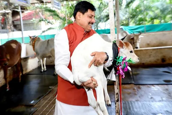 डॉक्टर्स की इमरजेंसी कक्ष में उपस्थिति सुनिश्चित करें : Deputy CM Shri Shukla